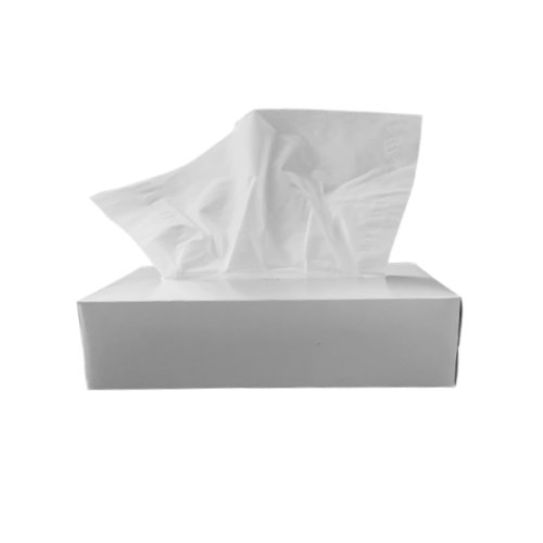 SPC 100 Tissues x 36 Packs / مناديل وجه ناعمه مستطيل غير مطبوع 100 منديل 36 عبوة